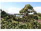 Kiama Downs NSW 2533