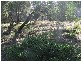 Kiama Heights NSW 2533