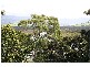 11  Hoolong Ave, Kiama Downs NSW 2533
