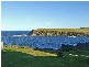 84  Kalang Road, Kiama Heights NSW 2533