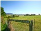 70  Long Brush Road, Jerrara NSW 2533