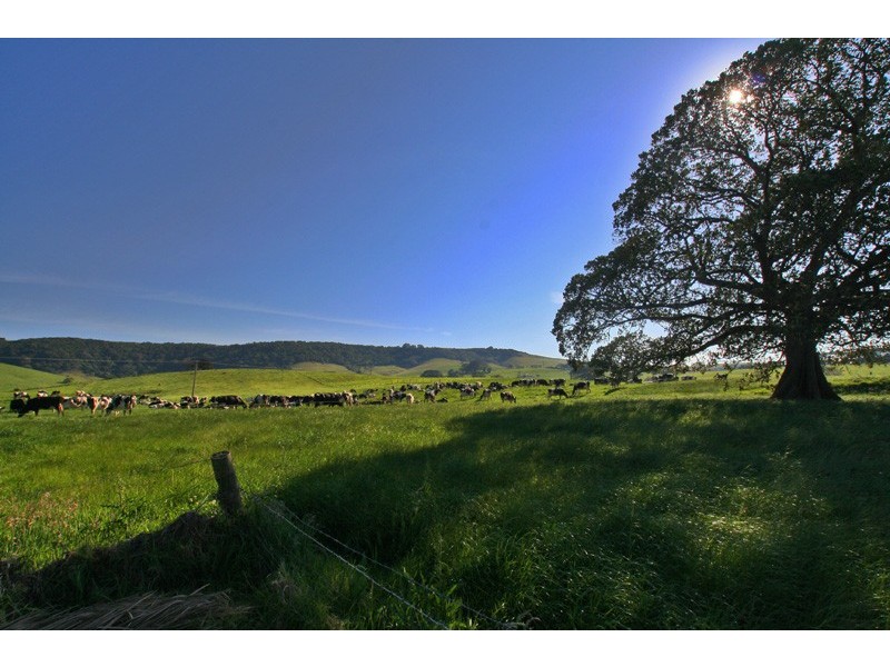 50 Rose Valley Road, Gerringong NSW 2534