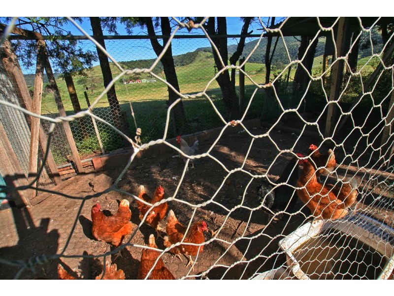 50 Rose Valley Road, Gerringong NSW 2534