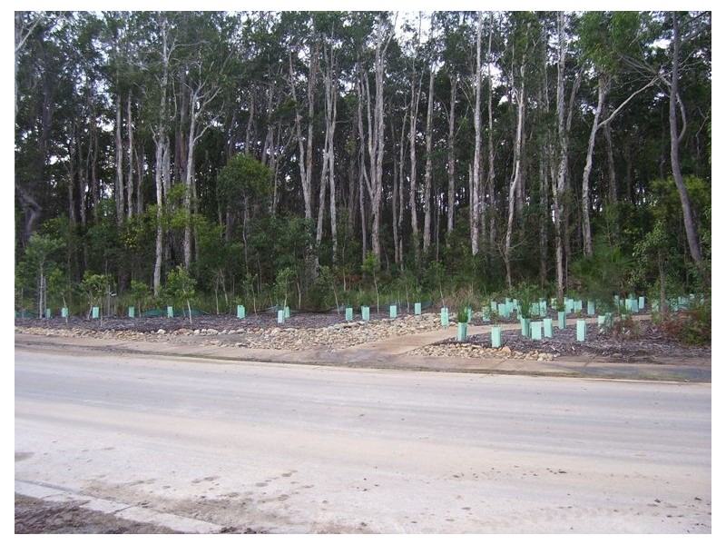 Lot 1378 /75  Impeccable Cct Coomera Waters, Coomera QLD 4209