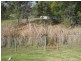 39 Kalingo Street, Bellbird NSW 2325