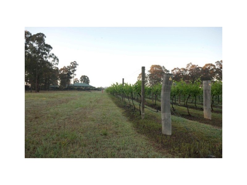 Lot 38 Kelman Vineyard, Pokolbin NSW 2320