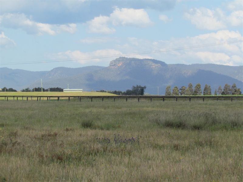 463 Milbrodale Road, Broke NSW 2330