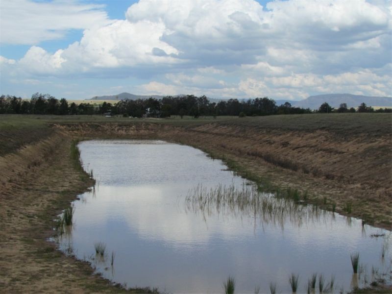 463 Milbrodale Road, Broke NSW 2330