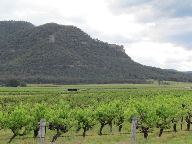 463 Milbrodale Road, Broke NSW 2330