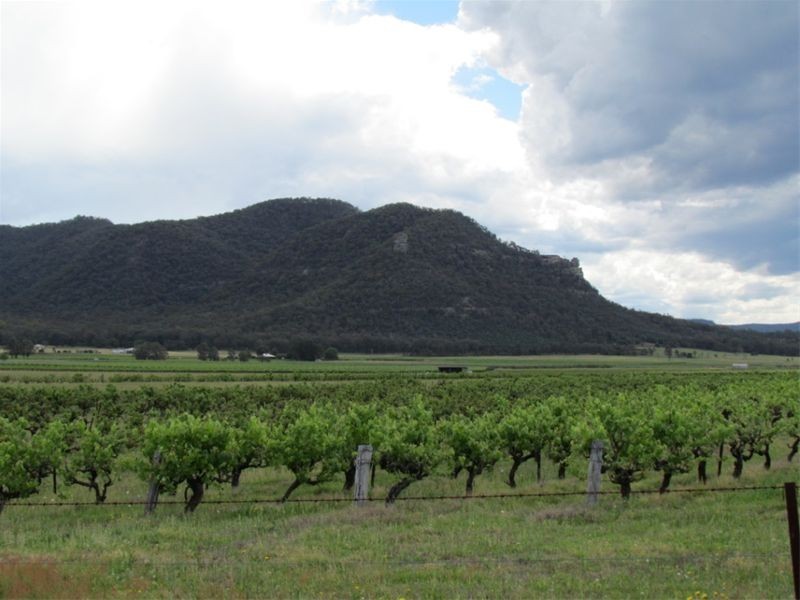 463 Milbrodale Road, Broke NSW 2330