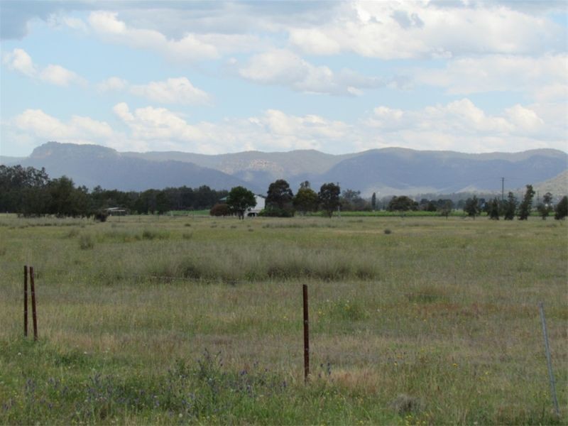 463 Milbrodale Road, Broke NSW 2330