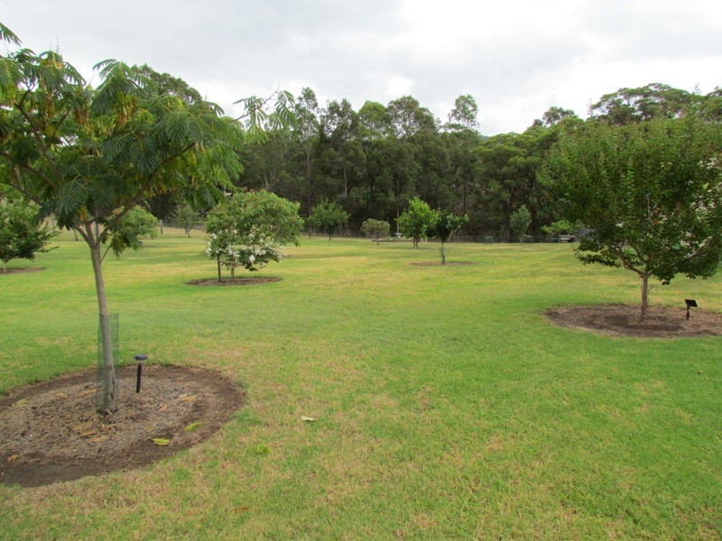 37 Echidna Close, Bellbird NSW 2325