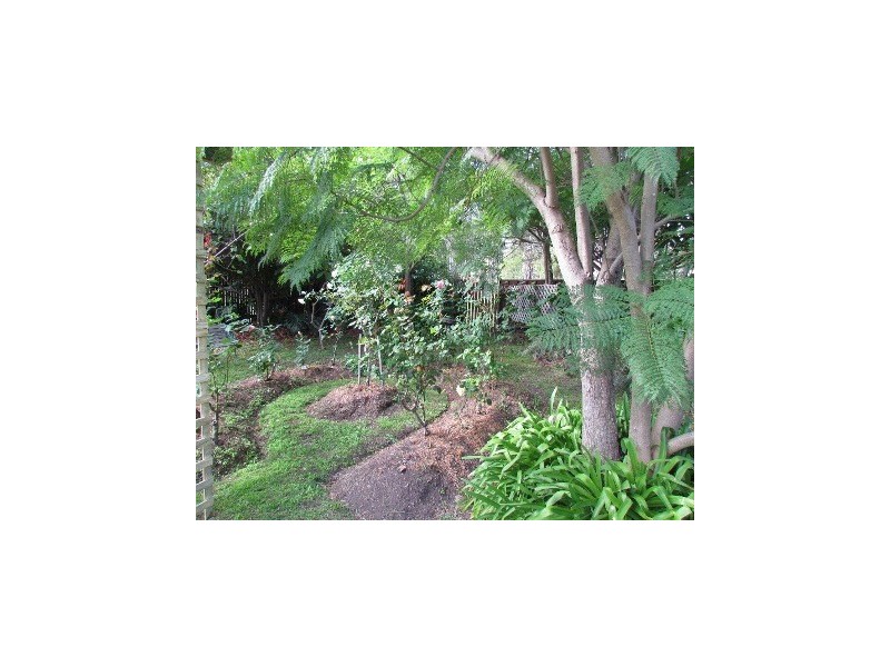 205 Mathieson Street, Bellbird Heights NSW 2325