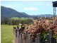 112 Edlinford Lane, Cessnock NSW 2325
