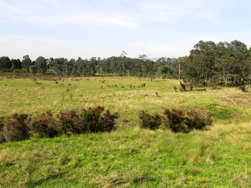 157 Talga Road, Rothbury NSW 2320