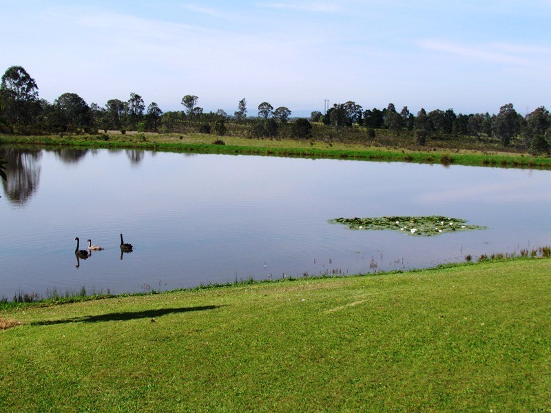 157 Talga Road, Rothbury NSW 2320