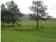 1308 Leggetts Drive, Brunkerville NSW 2323