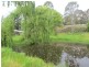 1308 Leggetts Drive, Brunkerville NSW 2323