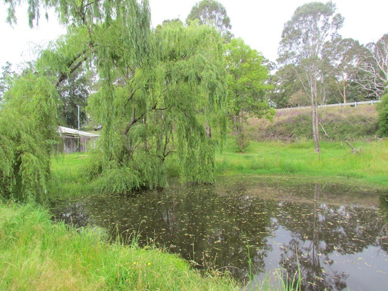 1308 Leggetts Drive, Brunkerville NSW 2323