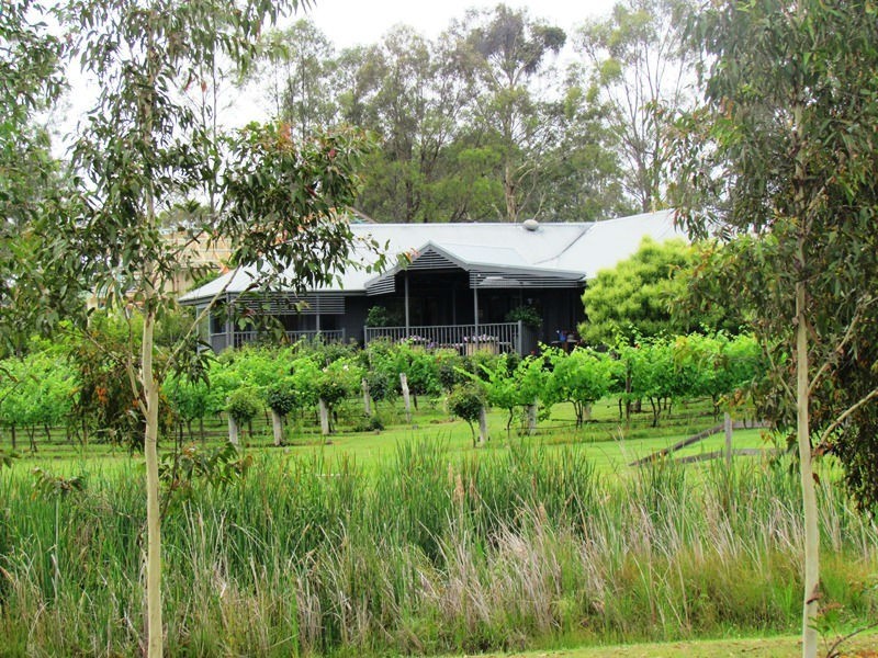 Lot 31 Kelman Vineyard, Pokolbin NSW 2320