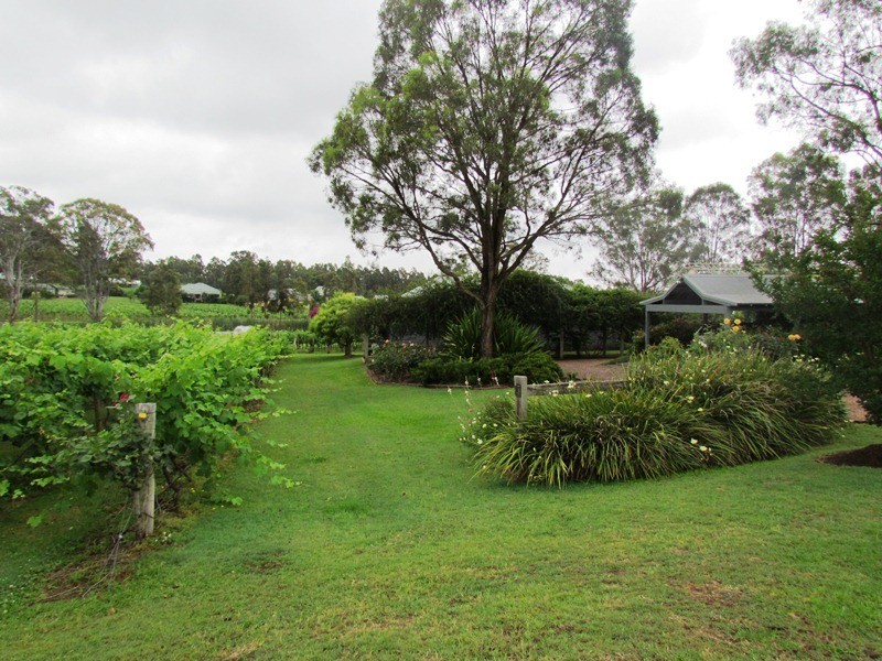 Lot 31 Kelman Vineyard, Pokolbin NSW 2320