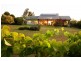 LOT 51 Kelman Vineyard, Pokolbin NSW 2320