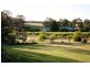 LOT 51 Kelman Vineyard, Pokolbin NSW 2320