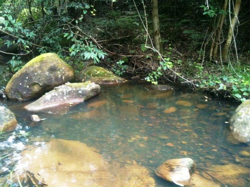 See Agent By Appointment, Wollombi NSW 2325
