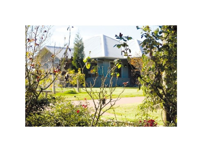Lot 81  Peppertree Lane, Pokolbin NSW 2320
