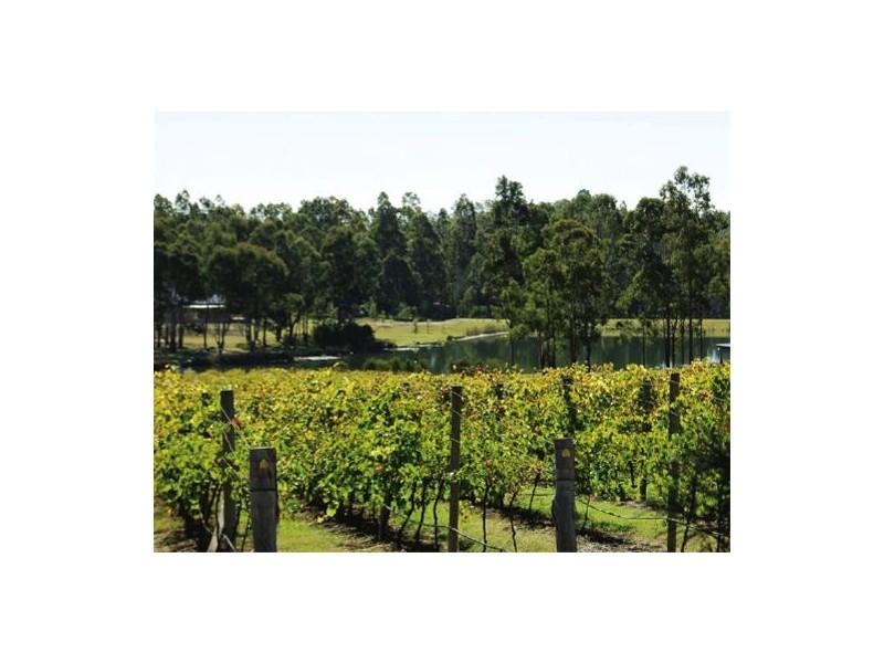 Lot 82  Peppertree Lane, Pokolbin NSW 2320