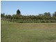 Lot 82 & 83 Kelman Estate, Pokolbin NSW 2320