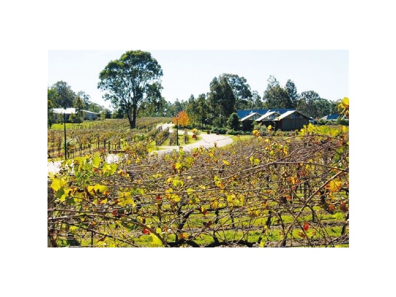 Lot 84  Peppertree Lane, Pokolbin NSW 2320