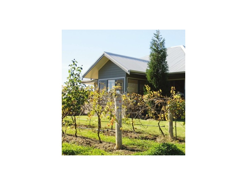 Lot 84  Peppertree Lane, Pokolbin NSW 2320