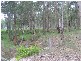 1057  Wollombi Road, Millfield NSW 2325