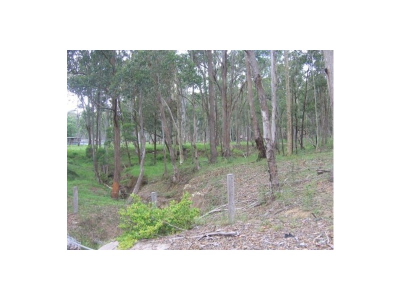 1057  Wollombi Road, Millfield NSW 2325