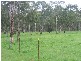 1057  Wollombi Road, Millfield NSW 2325