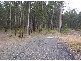 41  Dunlop Drive, Paxton NSW 2325