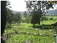 1178  Congewai Road, Congewai NSW 2325