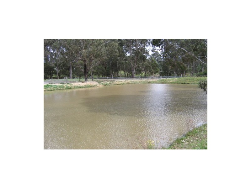 361  Neath Road, Kearsley NSW 2325