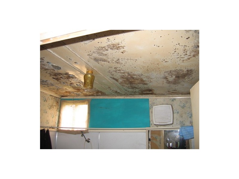 361  Neath Road, Kearsley NSW 2325