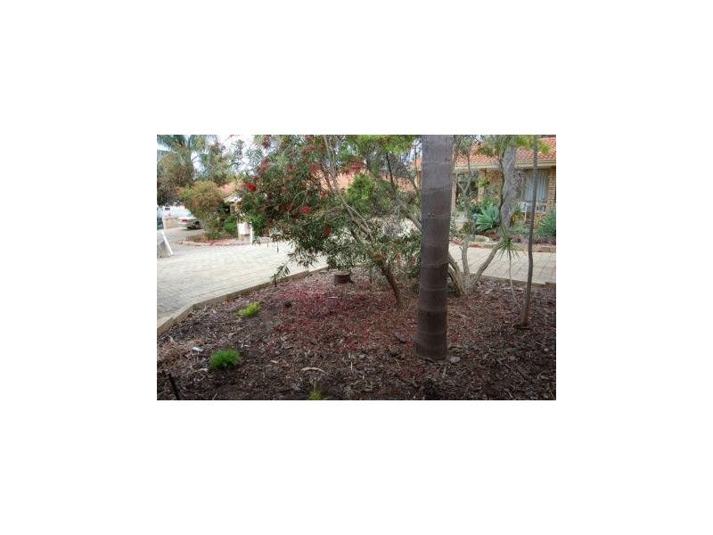 5/103 Swansea Street, East Victoria Park WA 6101