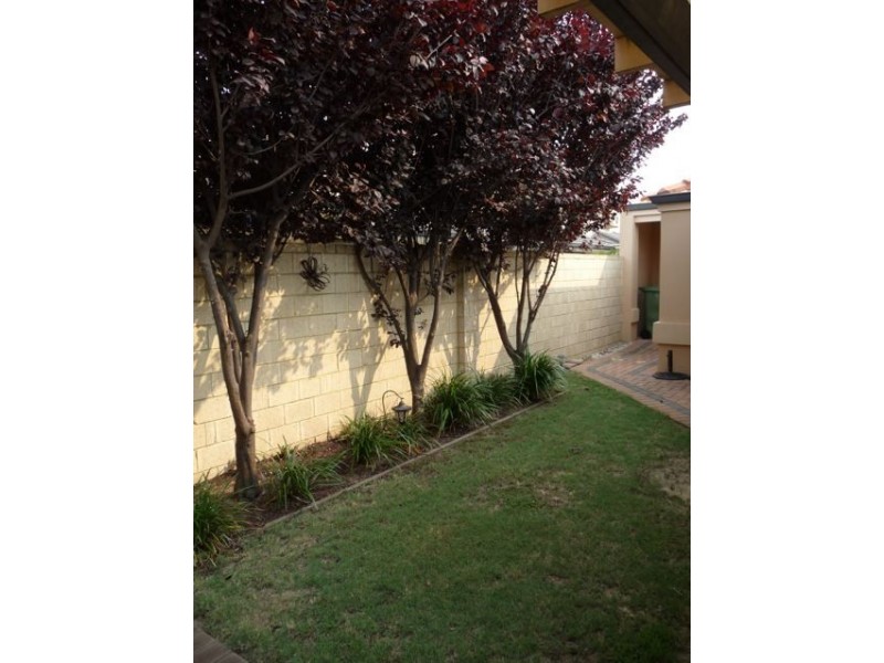 3/14 Kimberley Street, Belmont WA 6104