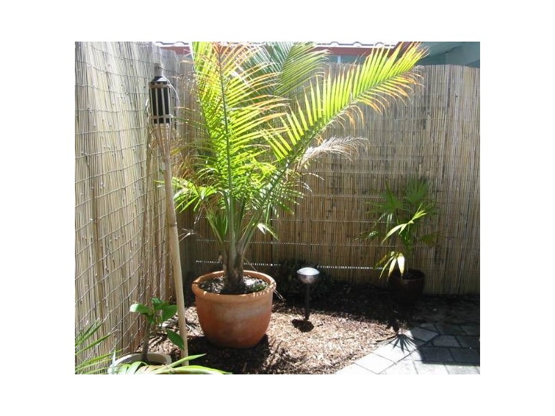 2/234 Shepperton Road, East Victoria Park WA 6101