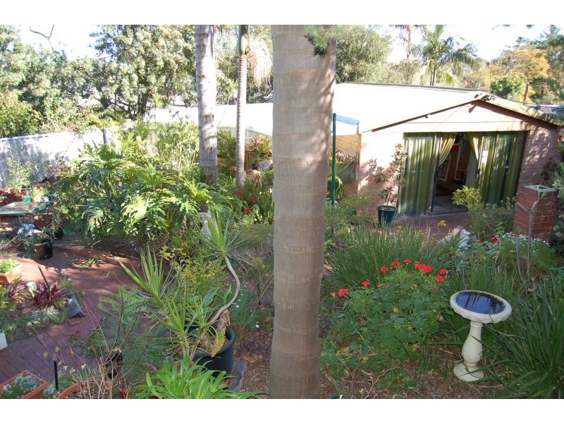11  Volta Way, Wilson WA 6107