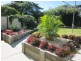 17 Woody Avenue, Kingston QLD 4114