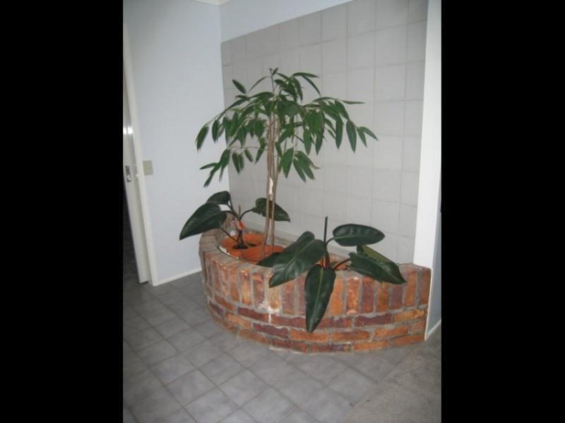 41 Coleman Crescent, Springwood QLD 4127