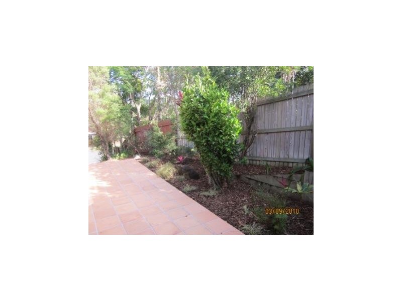 41 Coleman Crescent, Springwood QLD 4127