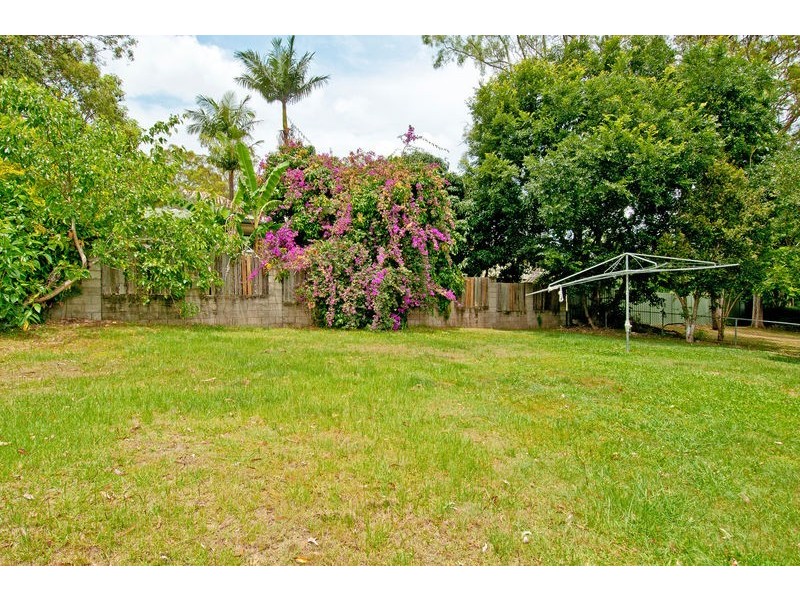 19 Anchusa Street, Kingston QLD 4114
