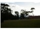 36 The Dress Circle, Tura Beach NSW 2548