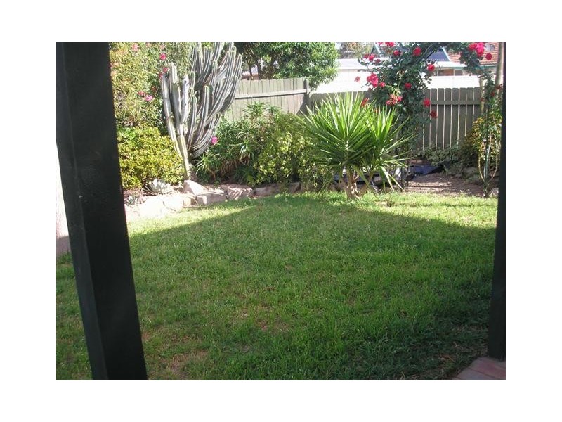 56 Bounty Crescent, Bligh Park NSW 2756